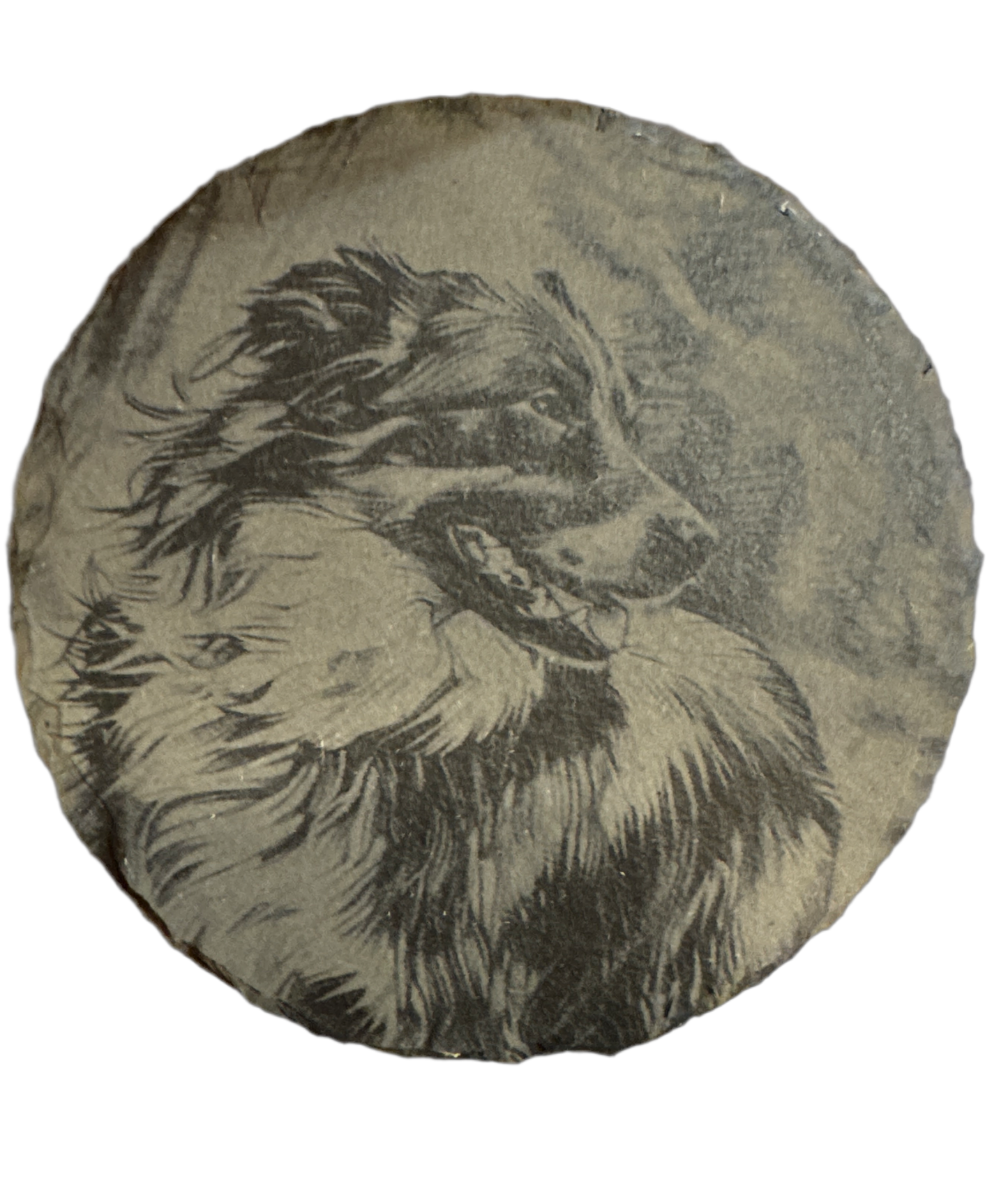 Herding Dog Photo Slate Coasters - Nordland Tides