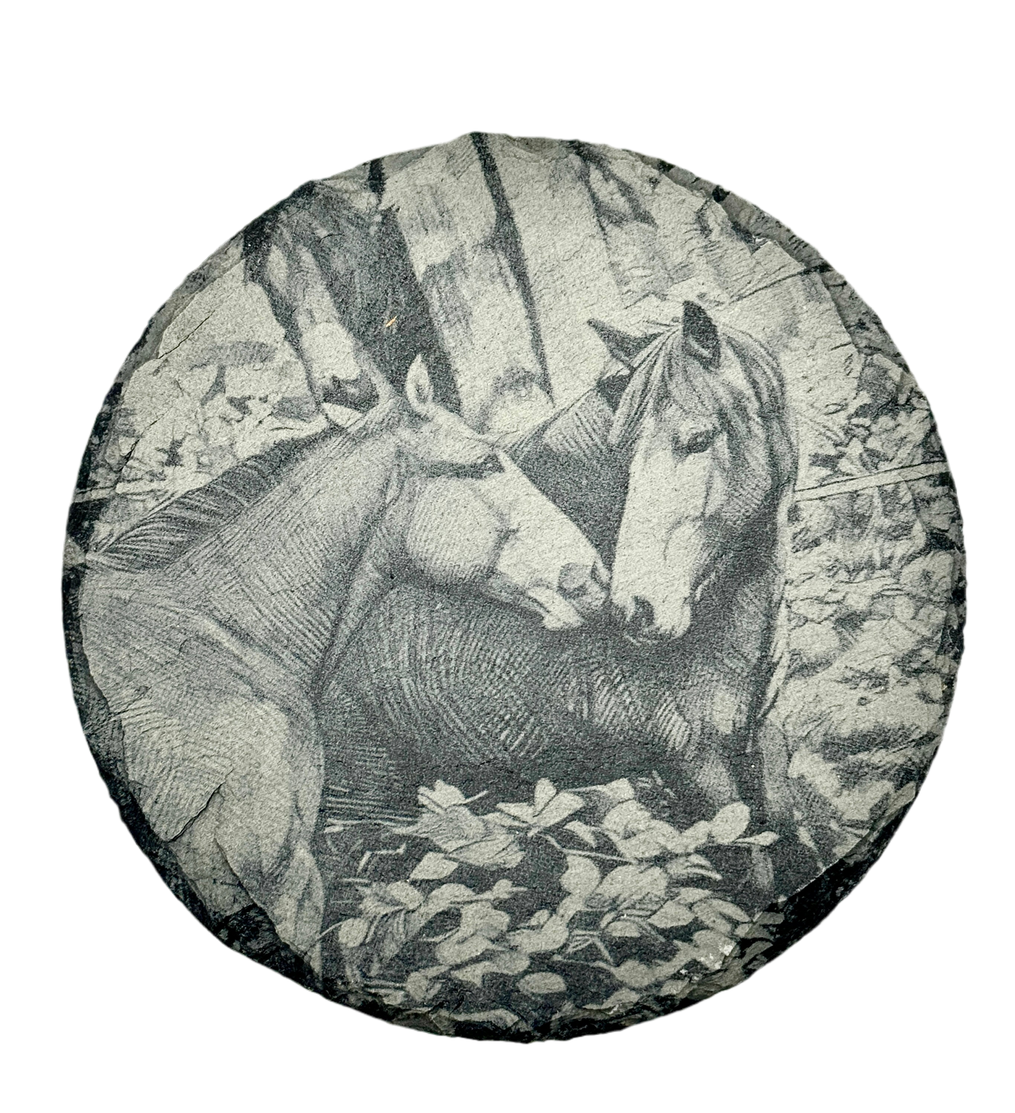 Horse Friends Photo Slate Coasters - Nordland Tides