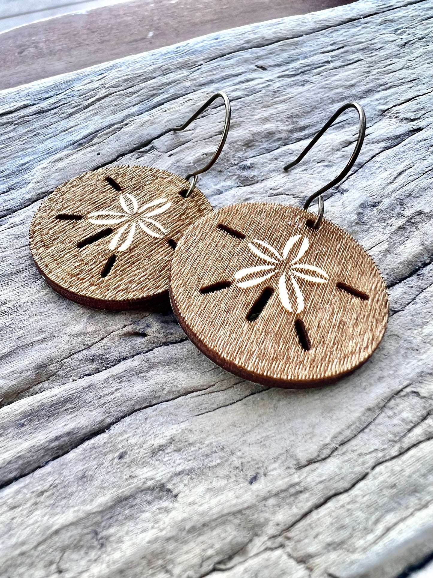 Sand Dollar Earrings sitting on drift wood