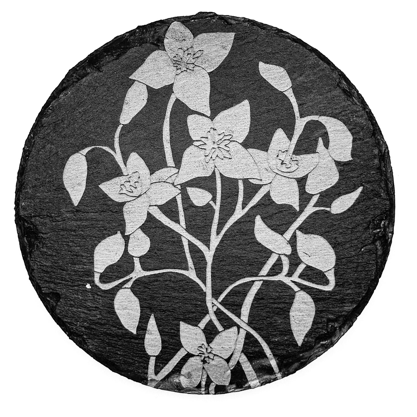 Slate Coasters -Chickweed