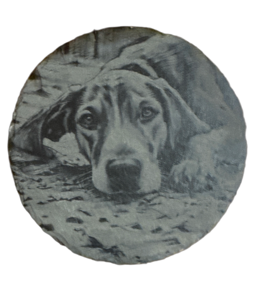 Coon Hound Photo Slate Coasters